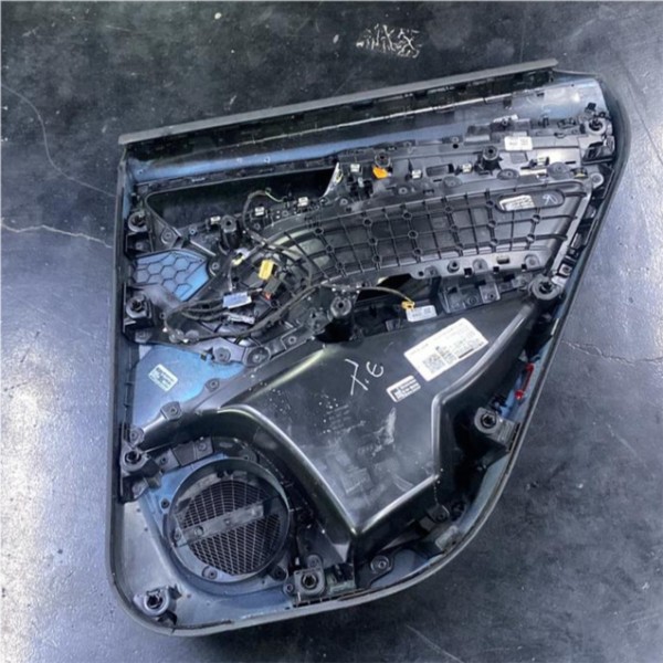 Forro De Porta ( Traseira Esquerda ) - Audi Q5 Sline 2022 B2