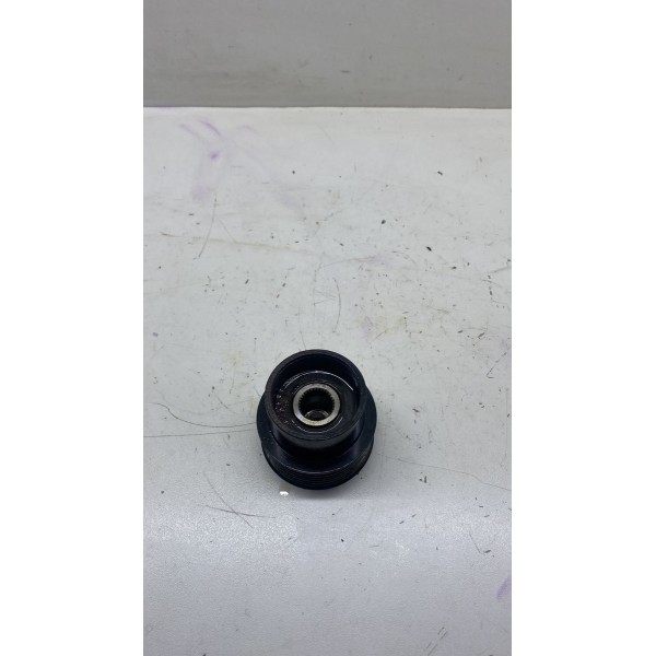 Polia Alternadora - Land Rover Freelander 3.2 2010