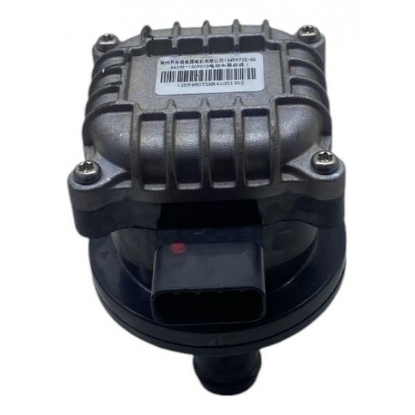 Bomba De Água Elétrica - Byd King 2025 Hibrid