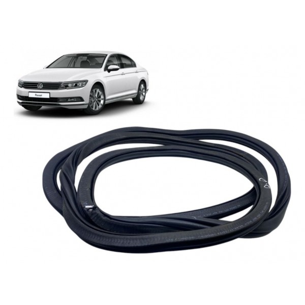 Borracha De Porta ( Diant Dir ) - Volkswagen Passat Tsi 2018