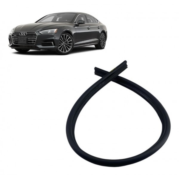 Borracha Vedação Capo - Audi A5 Sportback 2019