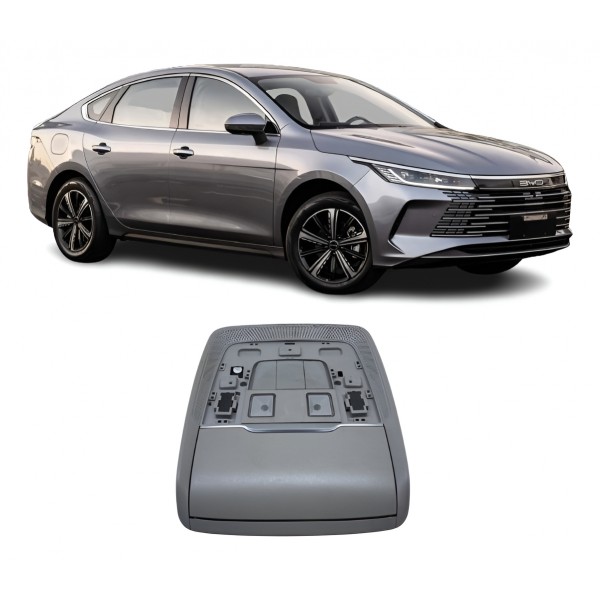 Porta Óculos / Luz Cortesia - Byd King 2025 Hibrid