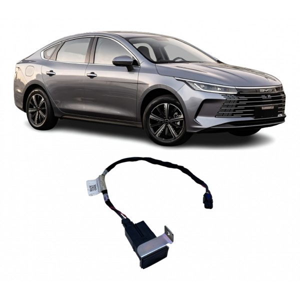 Entrada Leitor Navegação - Byd King 2025 Hibrid