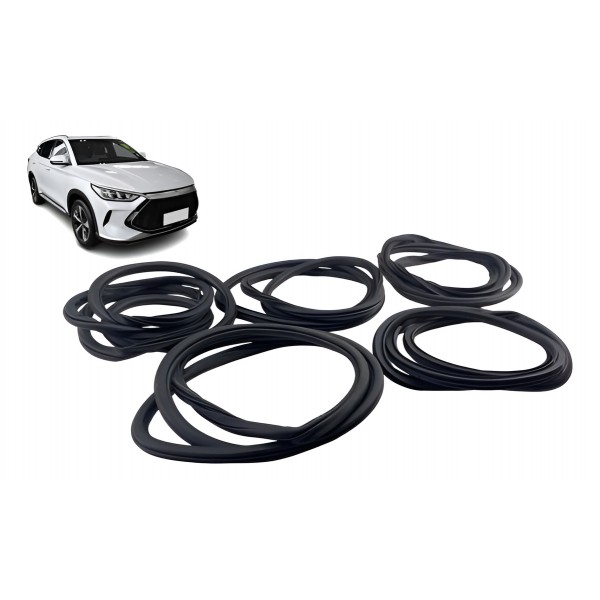 Jogo Borracha De Portas - Byd Song Plus 2024 Dm-i