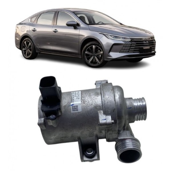 Bomba De Água Elétrica - Byd King 2025 Hibrid Prateado Prateado