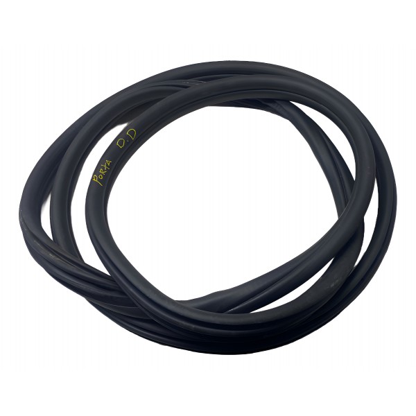 Borracha Porta ( Dianteira Direita ) - Bmw X4 30i M Sport 22