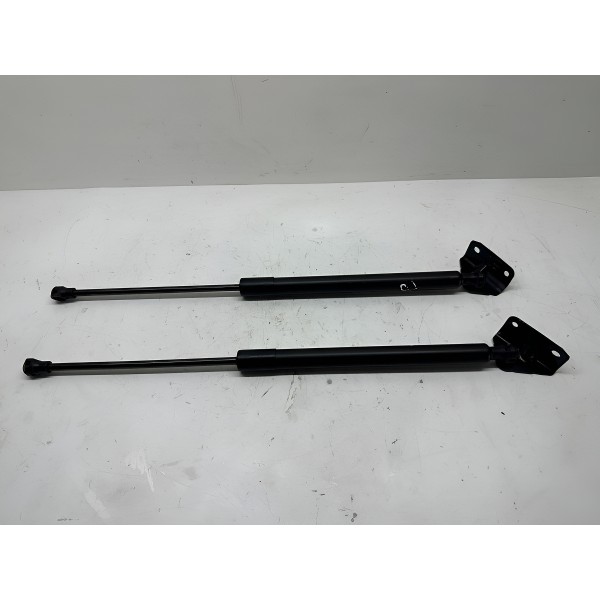 Par Amortecedor Tampa Traseira Peugeot 208 2017 5304