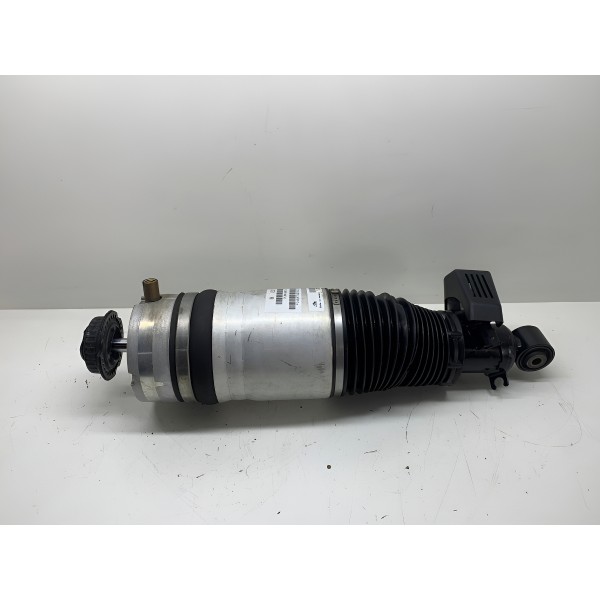 Amortecedor Traseiro Esquerdo Audi Q7 2012 7l8616019c 2894