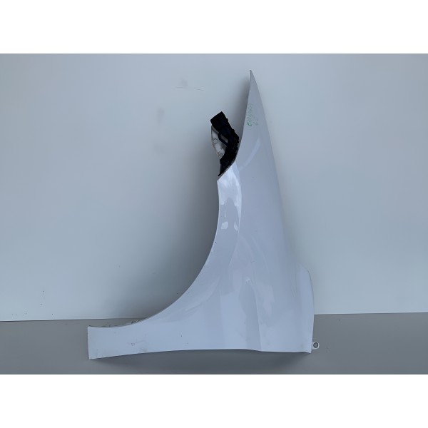 Paralama Lado Esquerdo Hyundai Elantra 2018 Liso