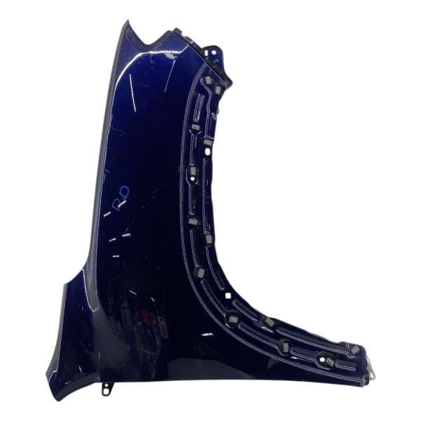 Paralama Direito Rampage 2024 2025 2026/..